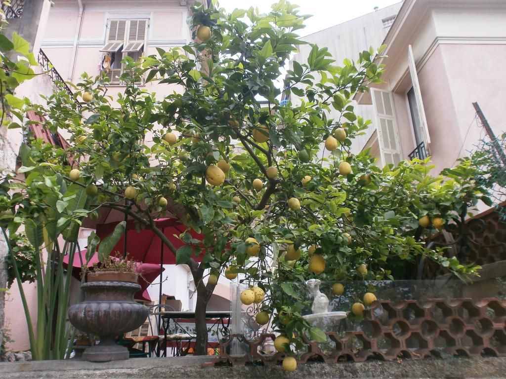 Villa Saphir Nicea Zewnętrze zdjęcie